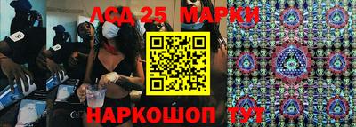 гидра Краснознаменск