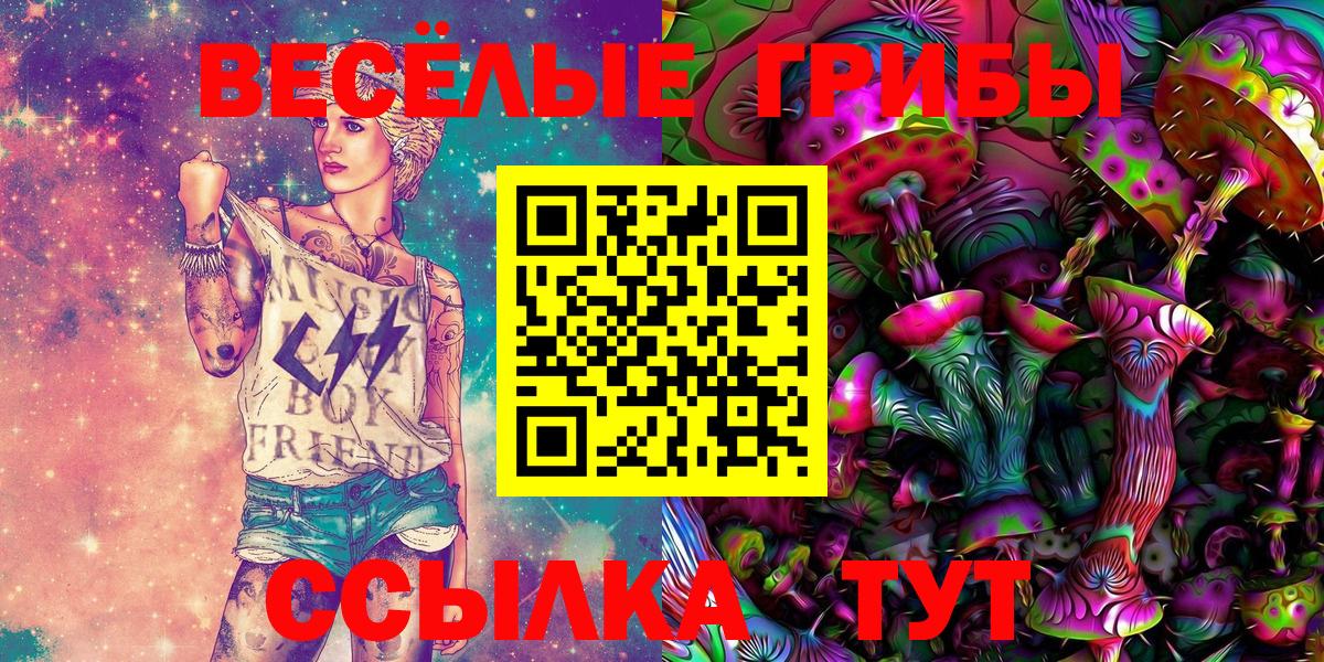Псилоцибиновые грибы мицелий  Галлюциногенные грибы мухоморы  купить наркоту  Вход с VPN  Аксай 