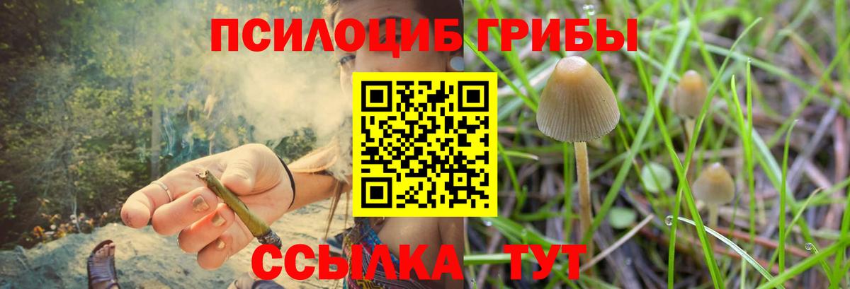 Псилоцибиновые грибы прущие грибы Аксай
